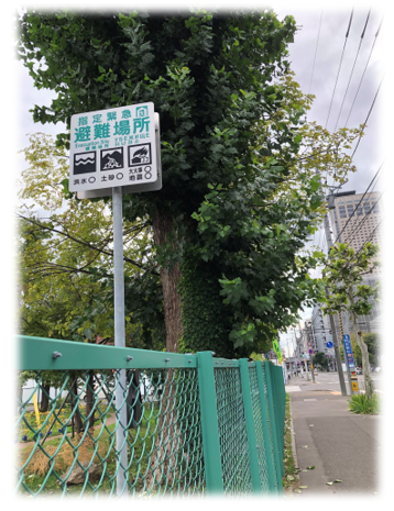 札幌市北区の就労継続支援B型事業所 フリーダム